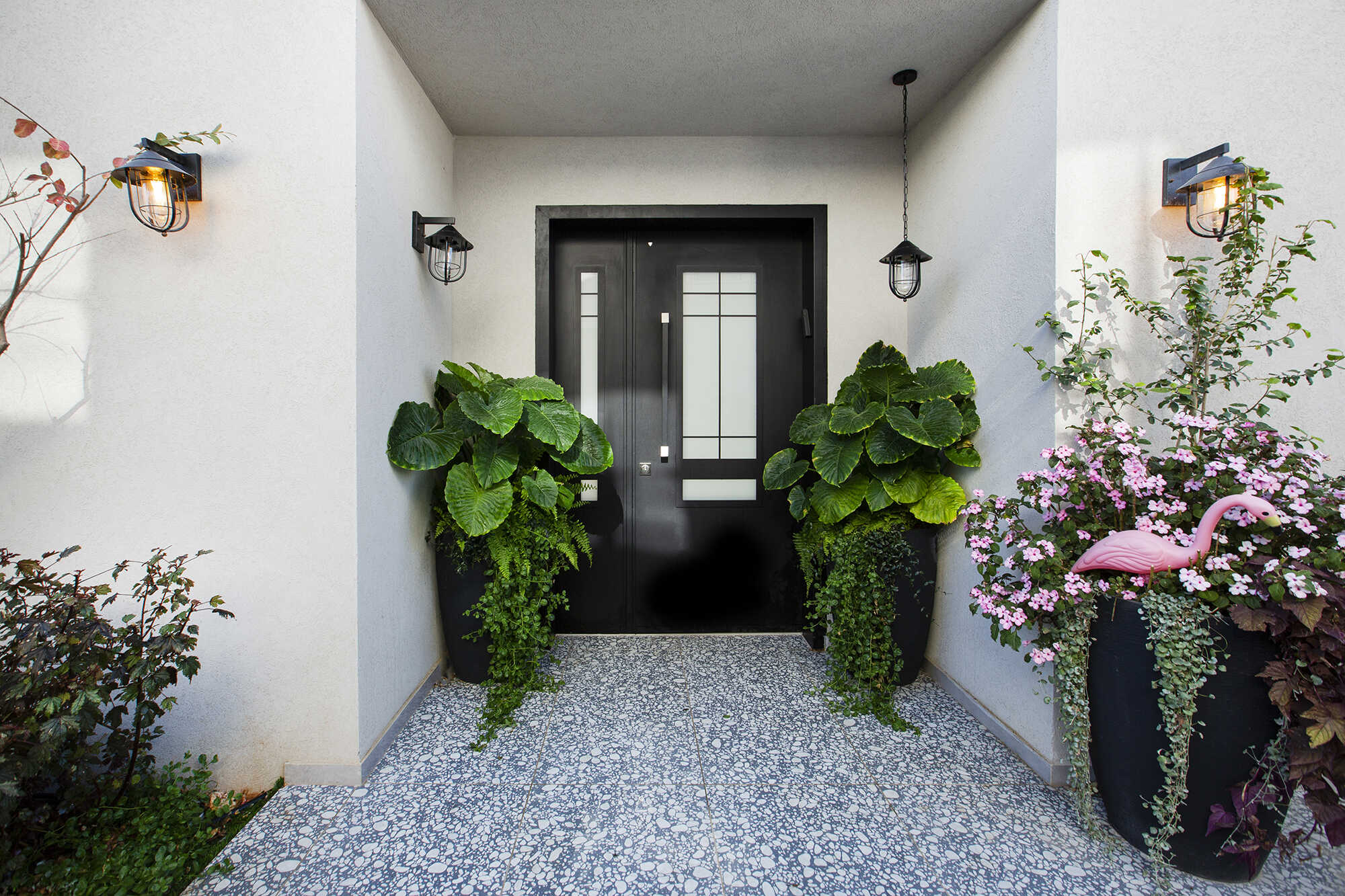 נווה צדק אקסטרה בלאק